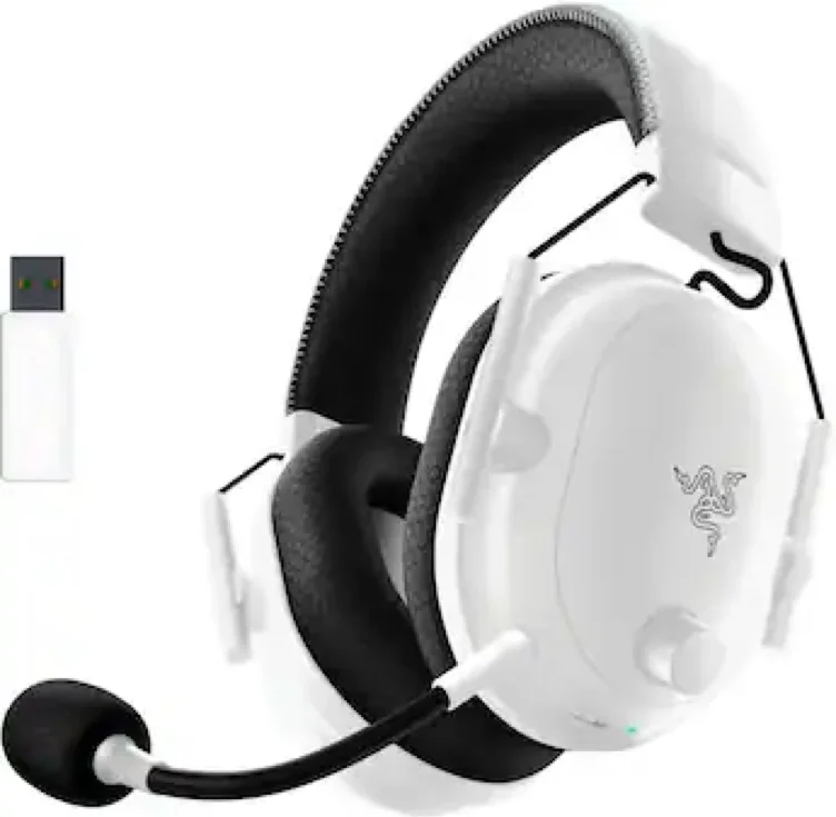 PS5 Headset for HONEESAUCE STREAMS