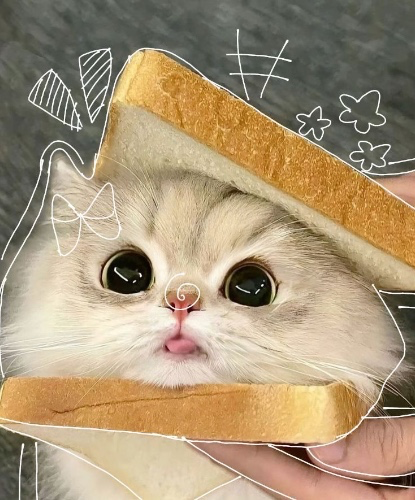 50$ Donationsˏˋ°•*⁀➷