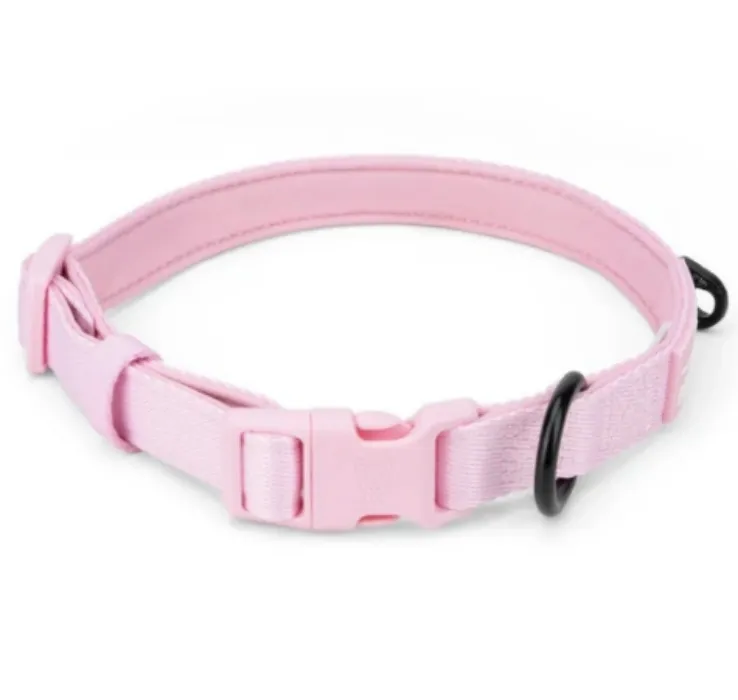 pink collar ♡