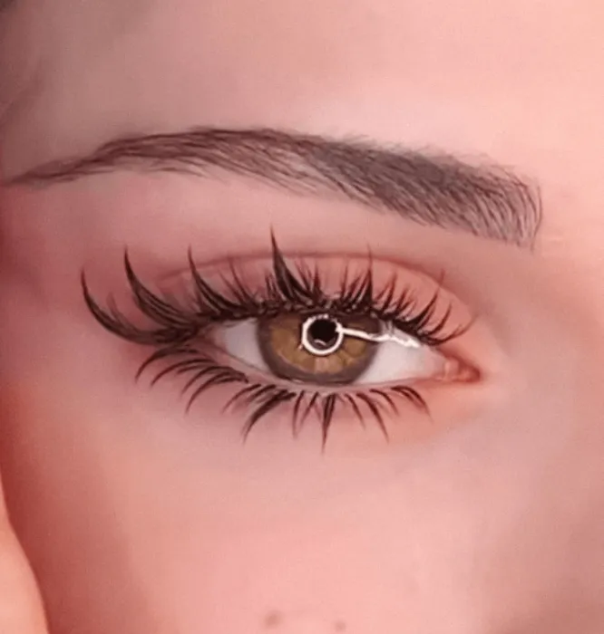 Lash Appointment