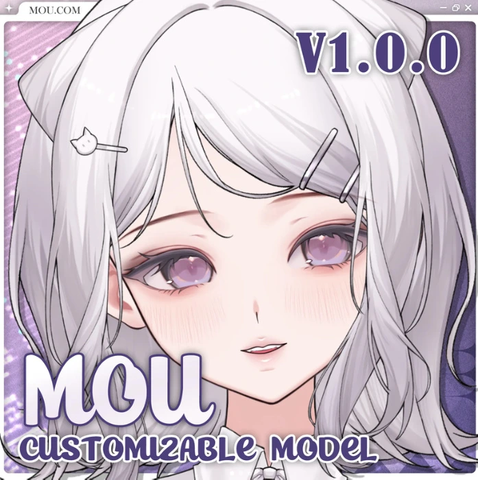 MOU Customizable Model