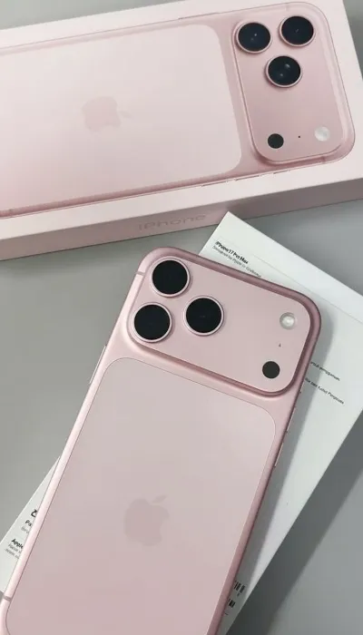 phone bill 
