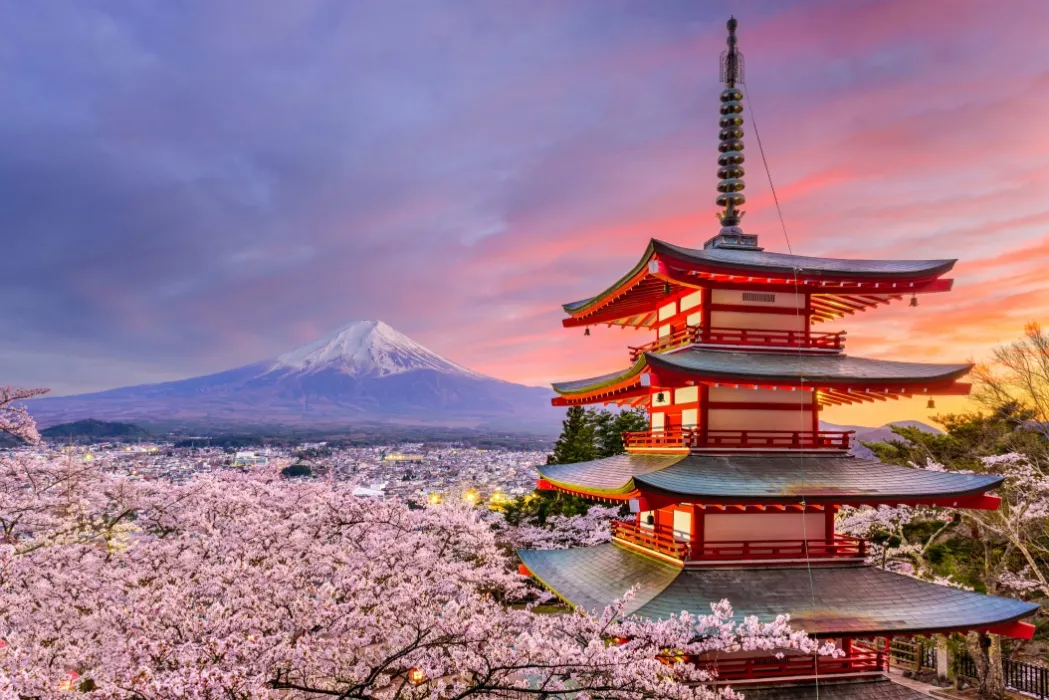 Send Duck & I to Japan