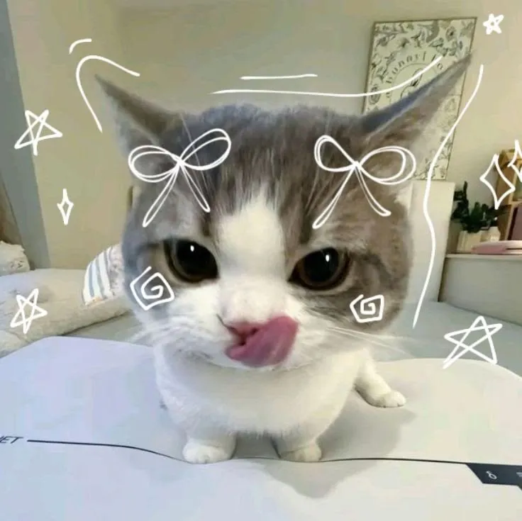 Buy me a coffee/some food :3 