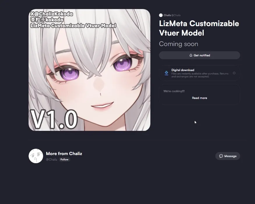 LizMeta Customizable Vtuber Model