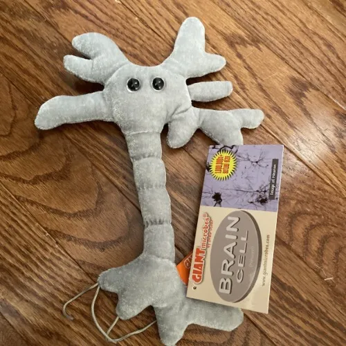 Brain Cell (Neuron)