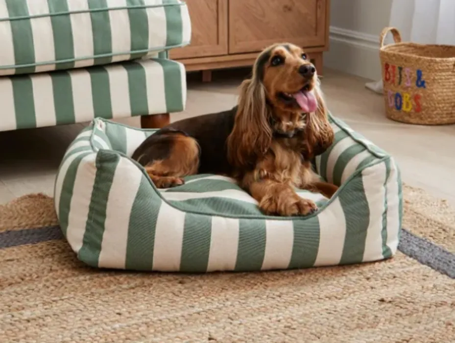 Beatrice Stripe Box Pet Bed