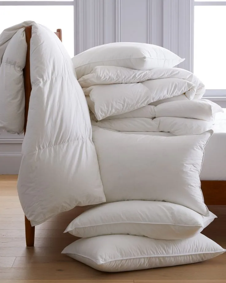 2 Luxe Goose Down Pillows 🦢