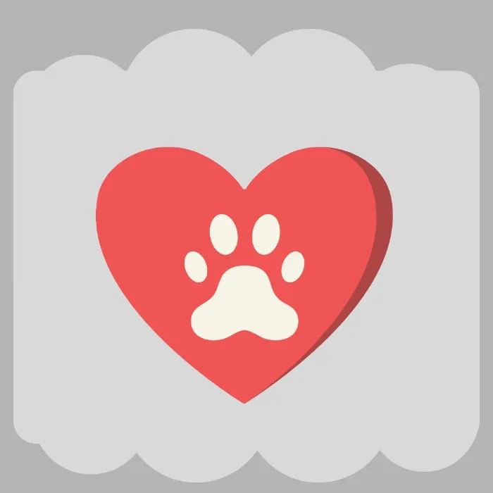 Yearly Pet insurance 2026