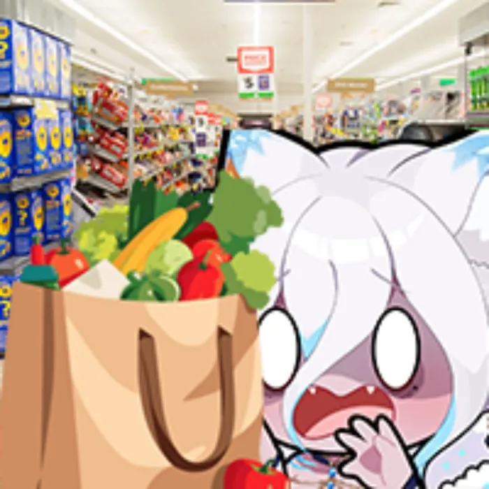  Groceries