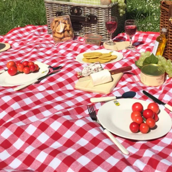 Picnic Blanket