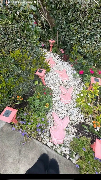 backyard makeover ♡