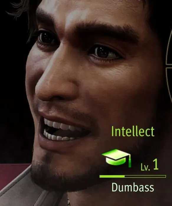 Yakuza FRANCHISE PLATINUM INSANITY