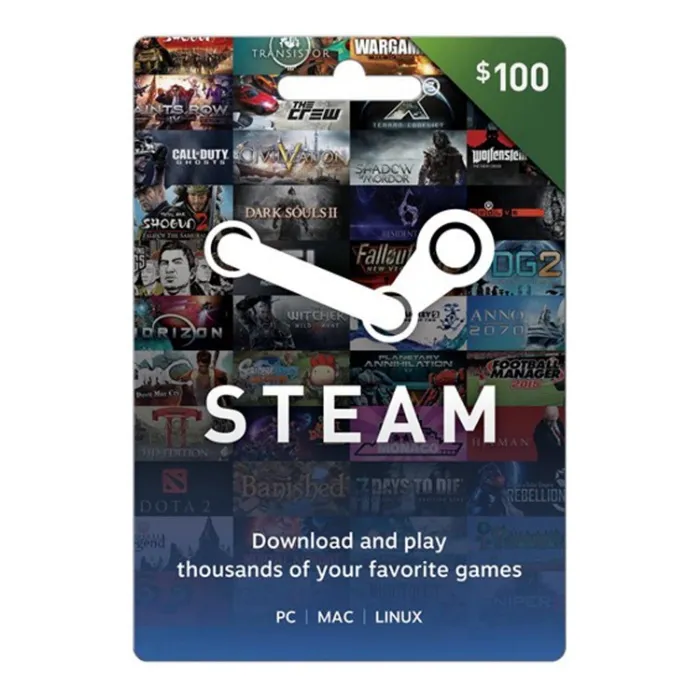 Steam Gift Card $100
