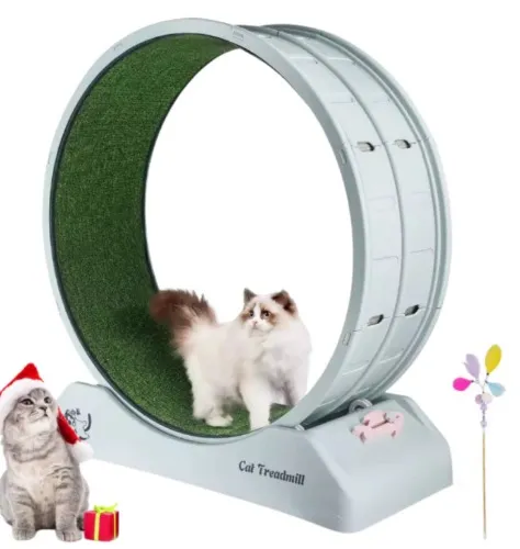 Cat Threadmill
