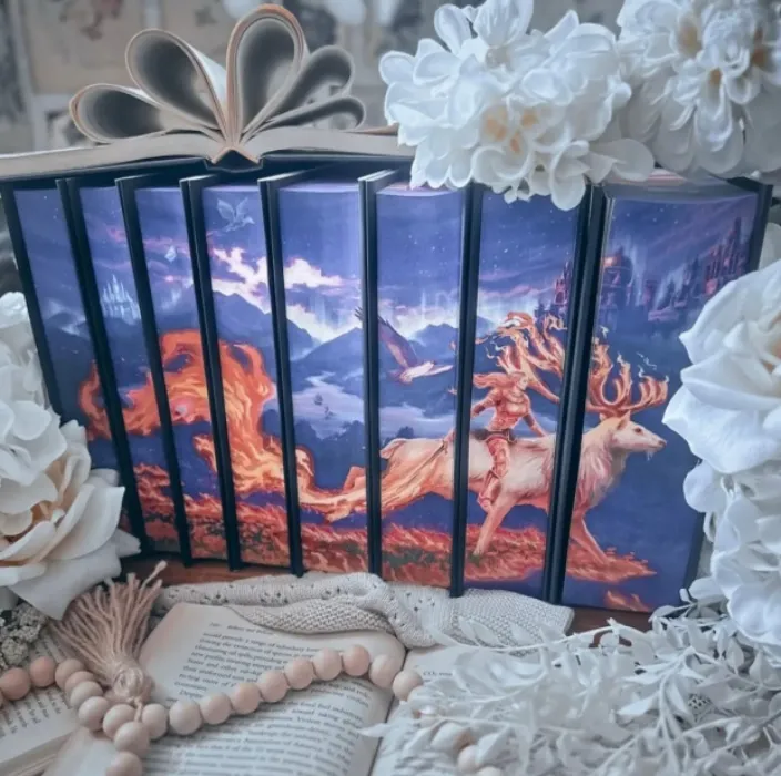 TOG LEGACY (Locations Dust Jackets) by Sarah J. Maas - Throne of Glass Special Edition Box Set