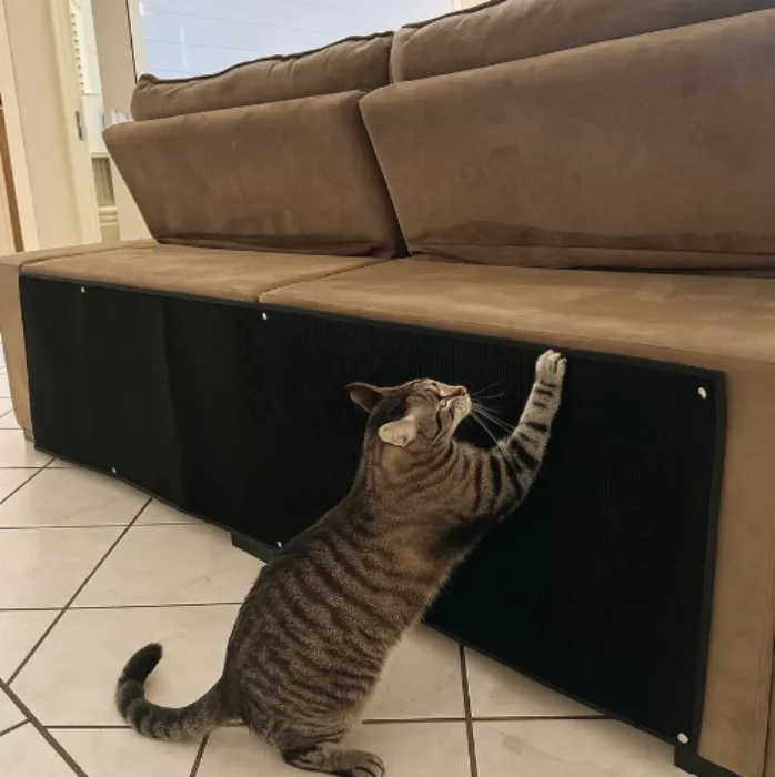 Arranhador Carpete para Gatos
