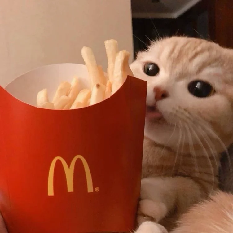 Maccas Run