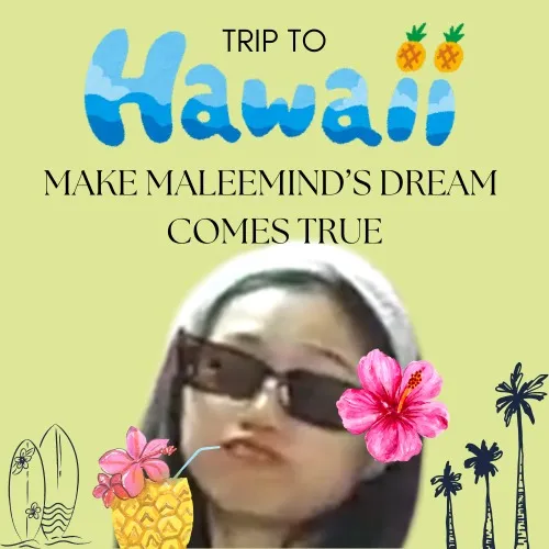 HAWAII TRIP 