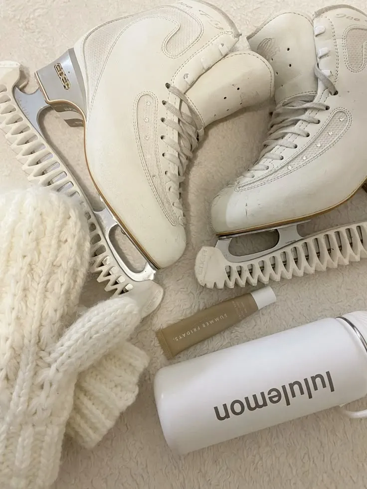 Monthly Ice skating rink entry fees