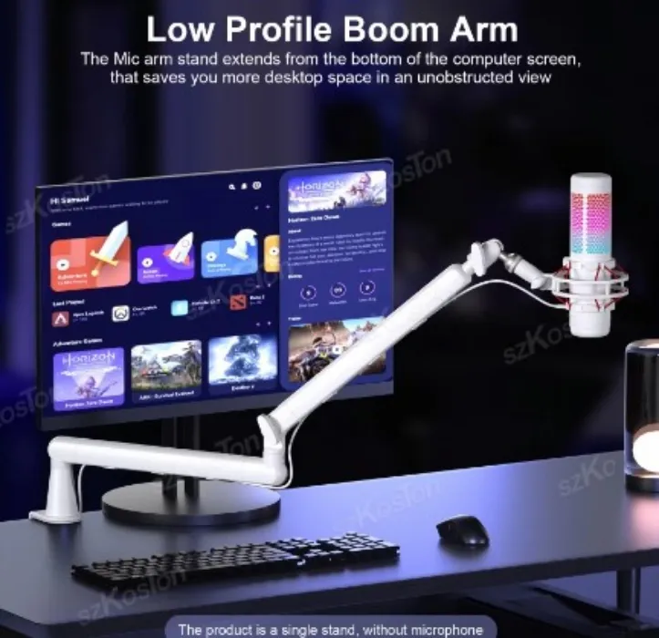 Mic Arm
