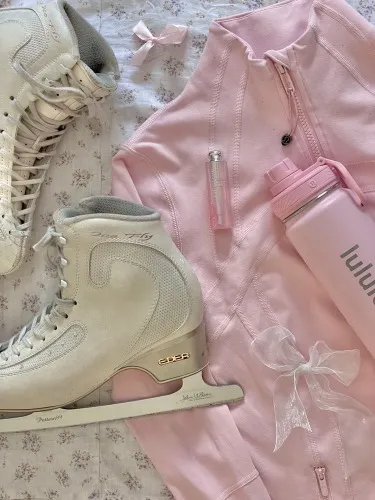 Ice skating rink entry fees