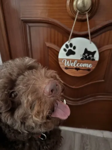 Ron bath and haircut :)