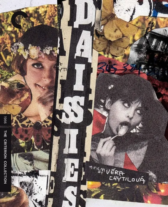 Daisies Criterion Collection Bluray