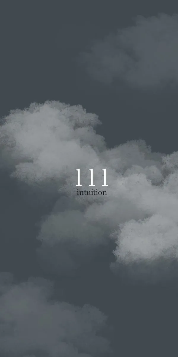 111 ˚⟡˖ ࣪