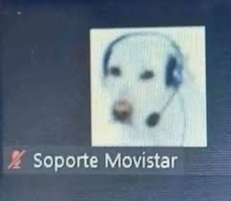 Intelnet mensual