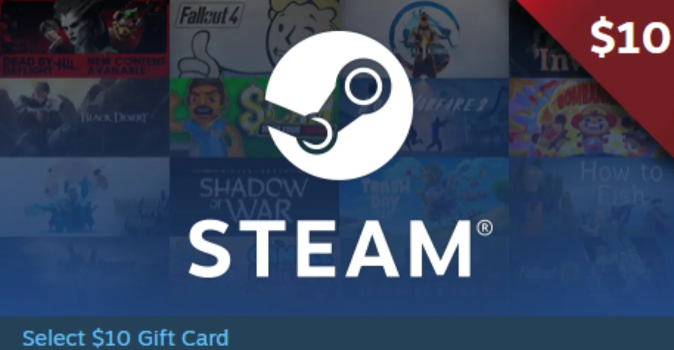 $10 Steam Wallet