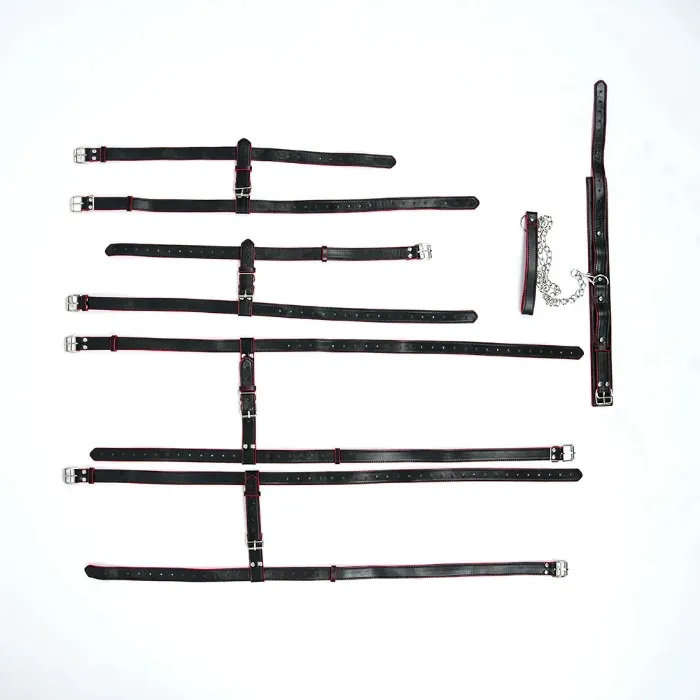 Leather Control Harness Set New – FeturaX
