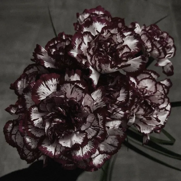 ♡ Princess Bite - Flowers