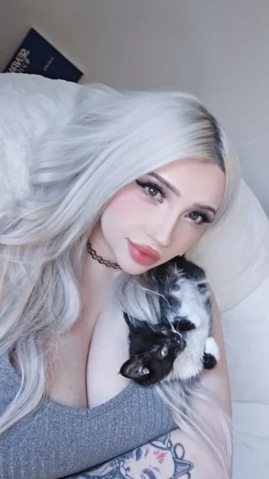for my kitties ♡