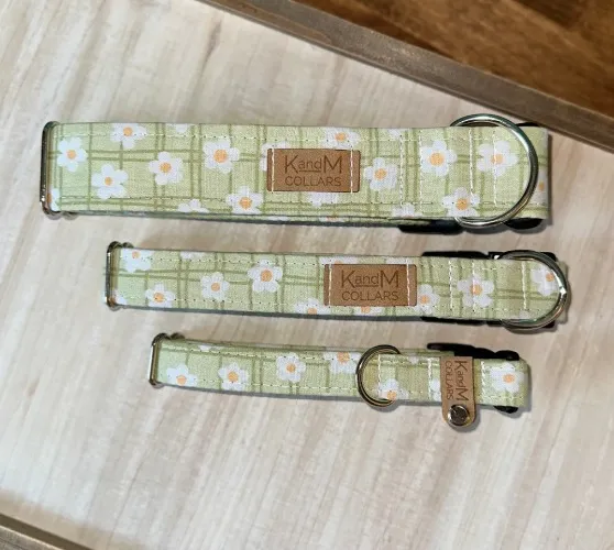 🌼 Bright Green Daisies Dog Collar - L