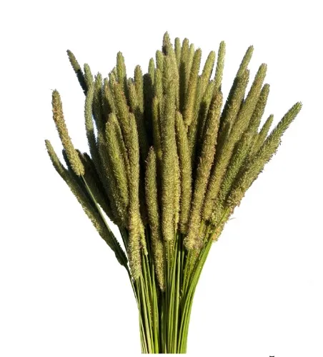 150 Timothy Hay Heads