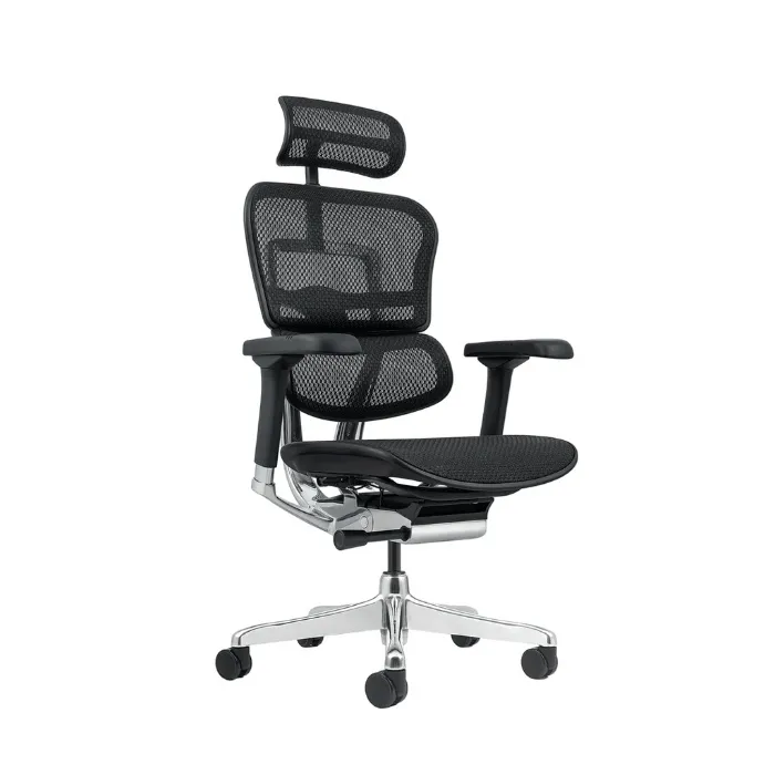 Ergonomic Office Chair