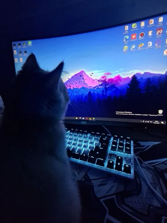 Setup upgrades