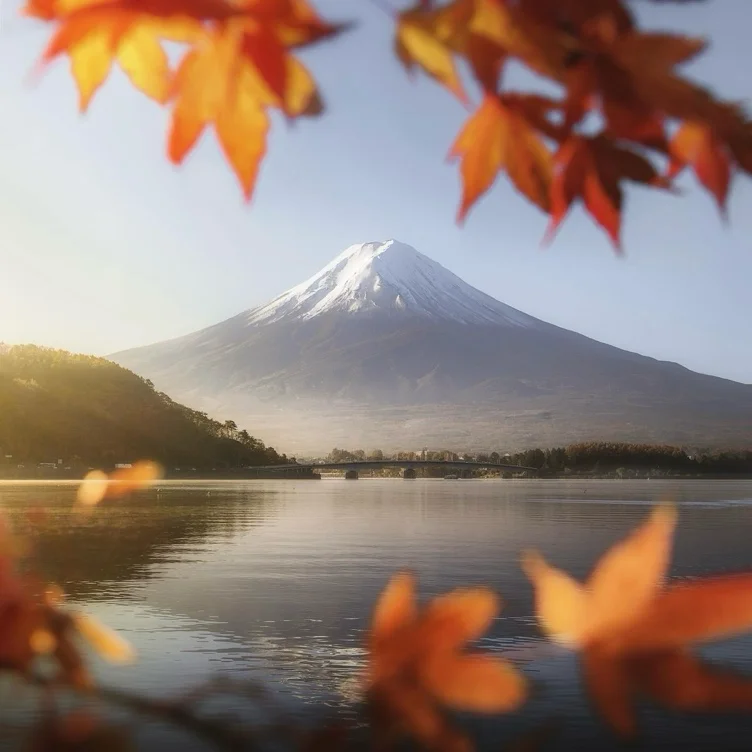 the ultimate dream: tokyo, japan trip