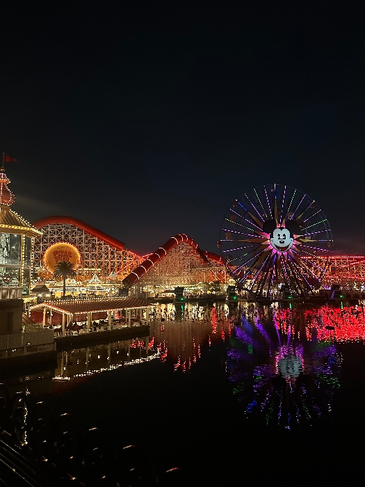 Disneyland Annual Pass