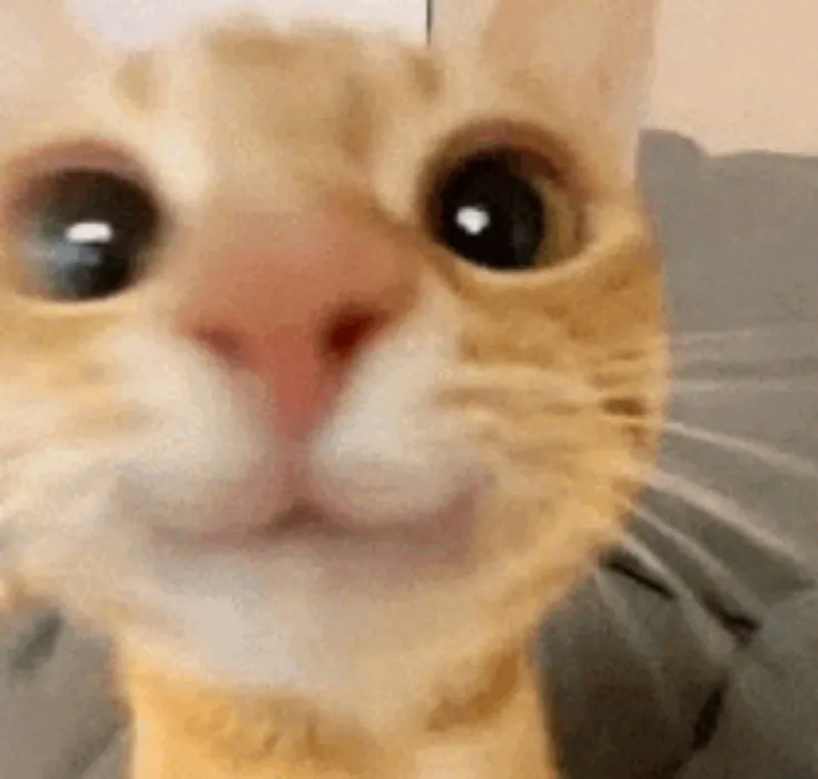 Feed Me?