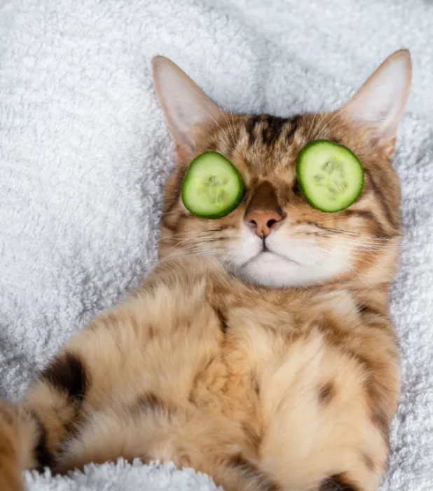 Pamper Ashie | Facial Spa