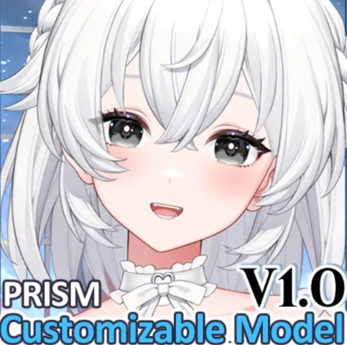PRISM custom model