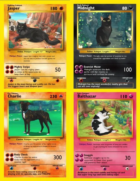 PokePet Canvas Poster and Metal Card For Boo