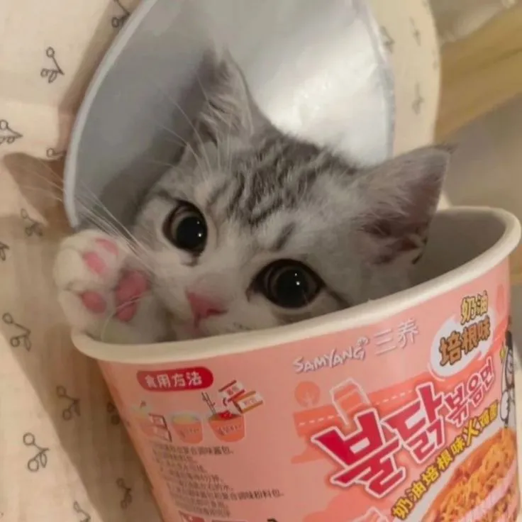 snacks