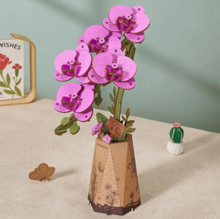 Rowood Wooden Moth Orchid Kit