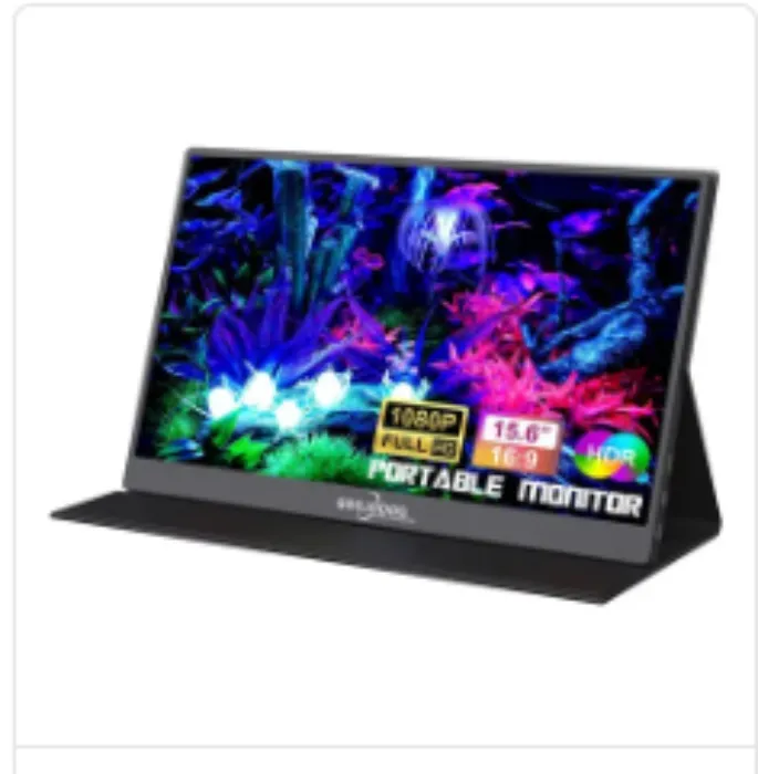 Portable monitor