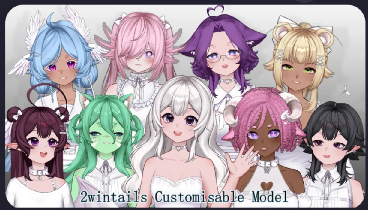 Customizable model for 2.0