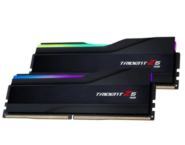 G. Skill 64GB (2x32GB) Ram