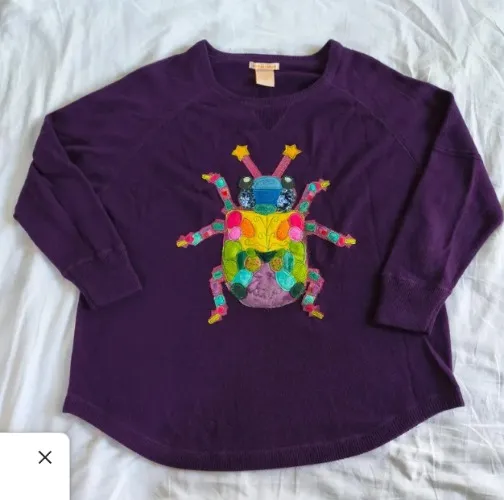 Upcycled Rainbow Bug + Purple Sweater 